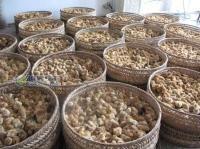 廣西靈山假三黃雞苗——農(nóng)副產(chǎn)品市場(chǎng)的機(jī)遇與挑戰(zhàn)