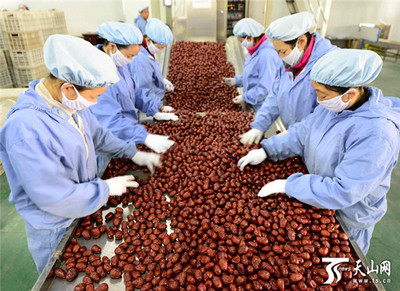 新疆阿拉爾墾區(qū) 紅棗嚴(yán)格分級(jí)打造品牌，助推農(nóng)副產(chǎn)品升級(jí)