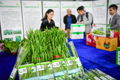 大灣區(qū)“菜籃子”產(chǎn)品清遠(yuǎn)配送中心開(kāi)業(yè)，農(nóng)副產(chǎn)品“一站式”服務(wù)助力區(qū)域融合