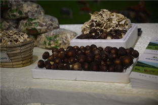 攜手豐臺(tái)，共繪鄉(xiāng)村振興新畫(huà)卷——豐臺(tái)區(qū)扶貧協(xié)作地區(qū)農(nóng)副產(chǎn)品推介活動(dòng)紀(jì)實(shí)