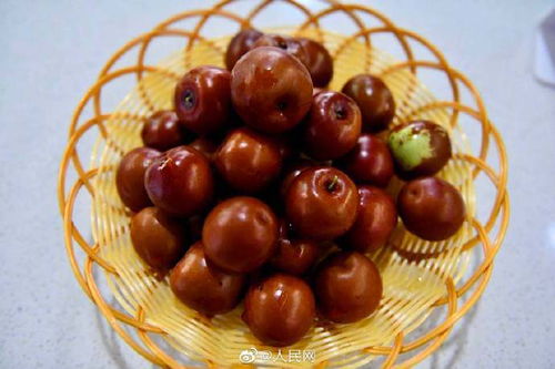 戈壁綠洲展新篇 新疆農(nóng)副產(chǎn)品跨越萬(wàn)里香飄四方